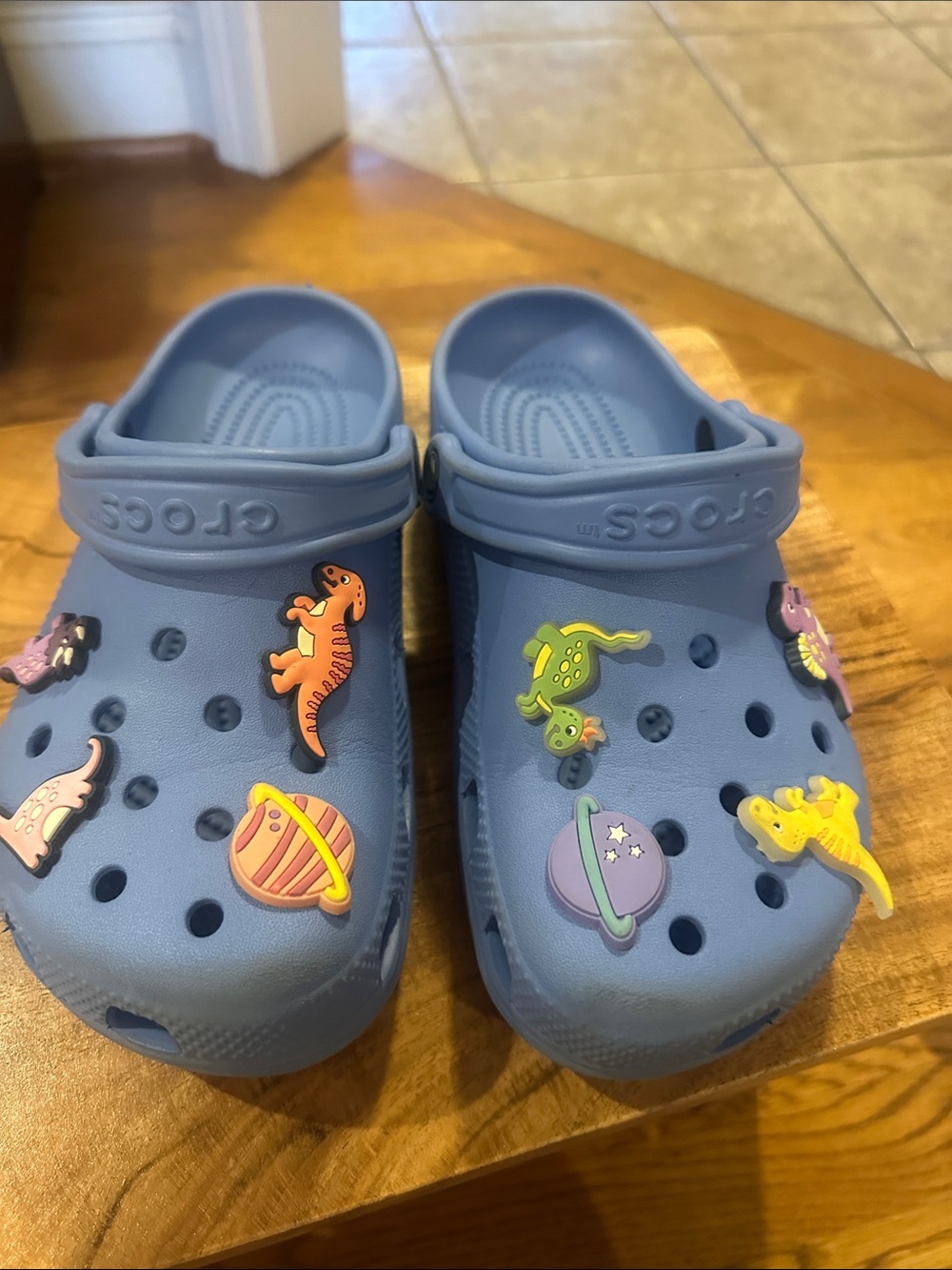 CROCS Light Blue Clog with Space & Dinosaur Charms